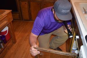 ONE-TIME PEST SERVICES