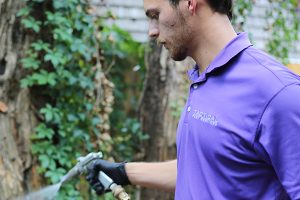 RECURRING PEST SERVICES