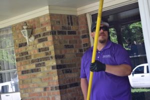 recurring pest services-min