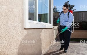 services (4)