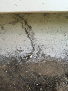 Termite Removal Services Allen A Termite mud tube found in Allen Texas house. This is a typical termite tube leading into a house. Look around your foundation for these.