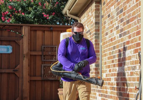 Tactical Pest Services Homepage Image-min