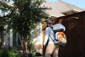 bug spraying company