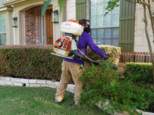 A man spraying for pests
